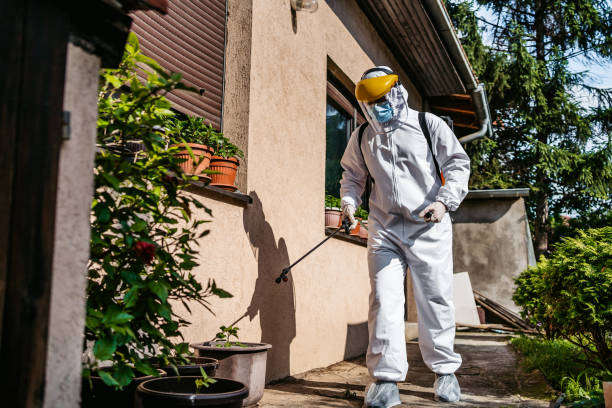 Best Wasp Removal Services  in Calumet City, IL