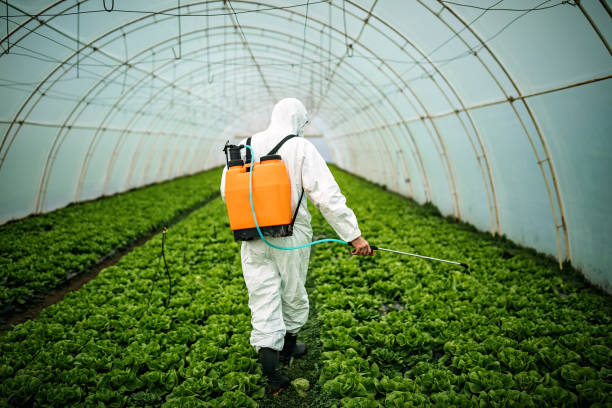 Best Mosquito Control Services  in Calumet City, IL