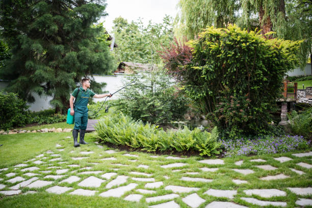 Trusted Calumet City, IL Pest Control Experts