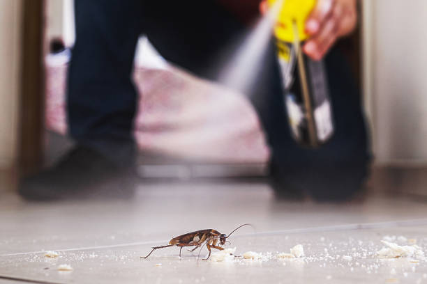 Reliable Calumet City, IL Pest Control Solutions