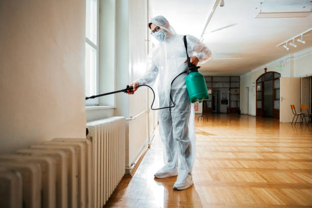 Best Local Pest Control Services  in Calumet City, IL