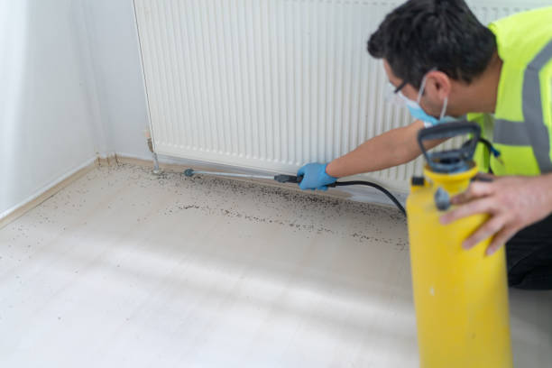 Best Pest Prevention Services  in Calumet City, IL